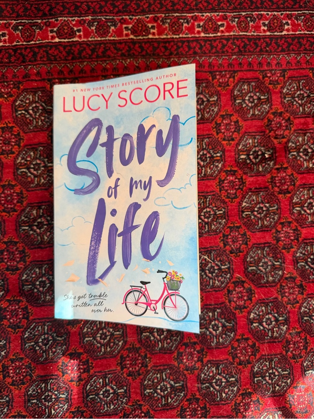 'Story of My Life' - By Lucy Score